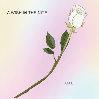 Front cover_A Wish In The Nite