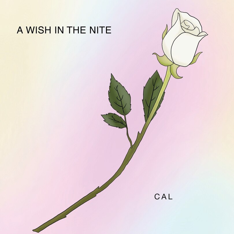 Front cover_A Wish In The Nite