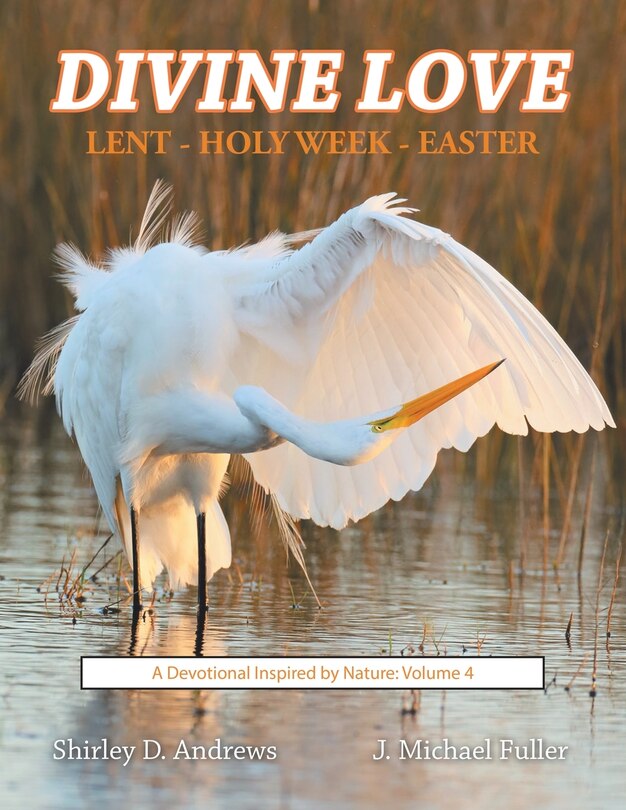 Front cover_Divine Love Lent - Holy Week - Easter