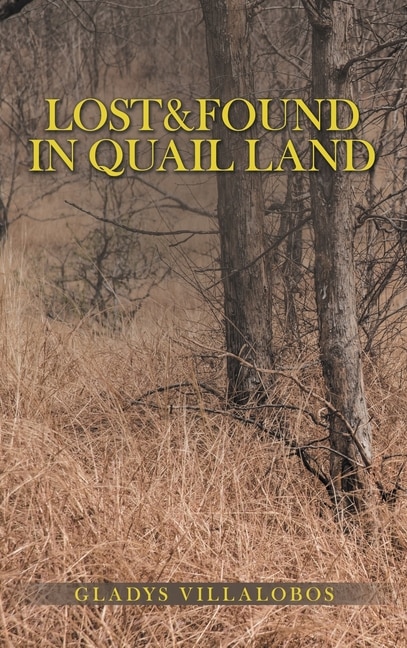 Front cover_Lost&Found in Quail Land
