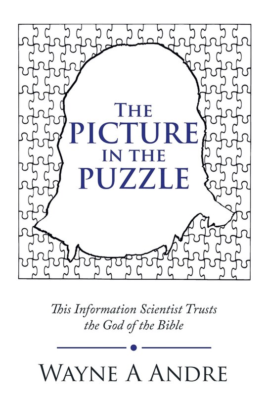 Couverture_The Picture in the Puzzle