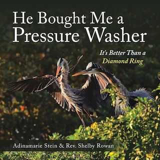 Front cover_He Bought Me a Pressure Washer