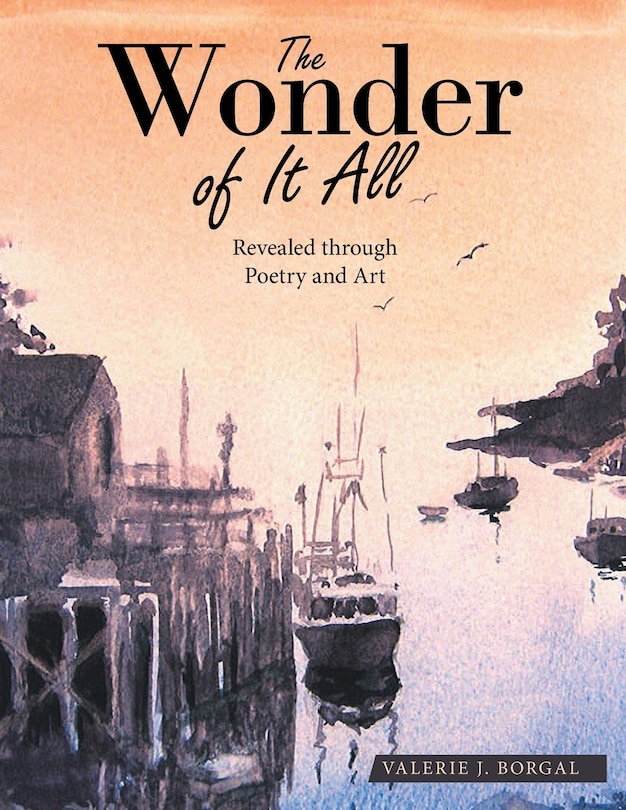Couverture_The Wonder of It All