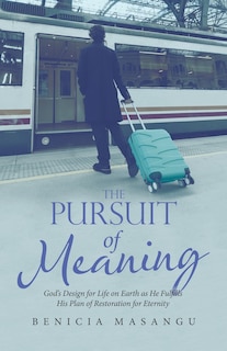 Front cover_The Pursuit of Meaning