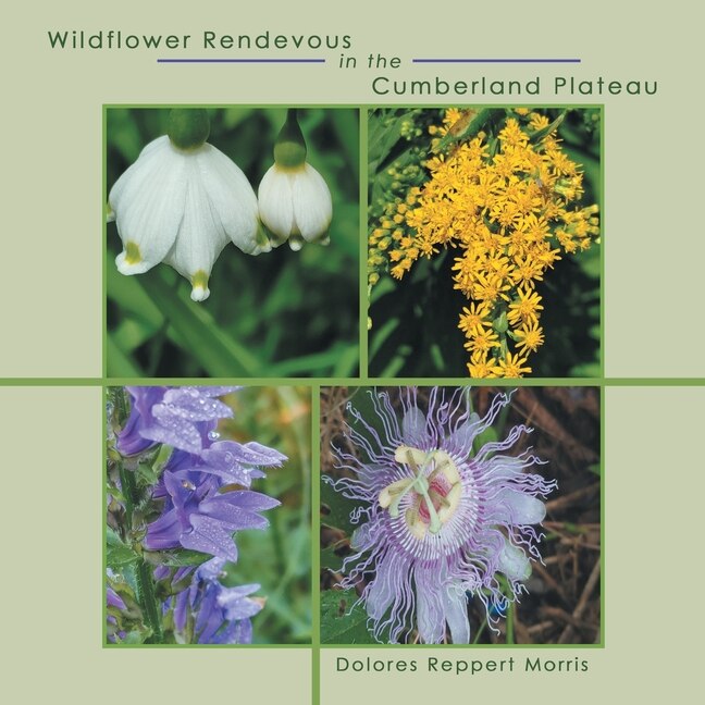 Front cover_Wildflower Rendevous in the Cumberland Plateau