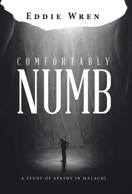 Couverture_Comfortably Numb