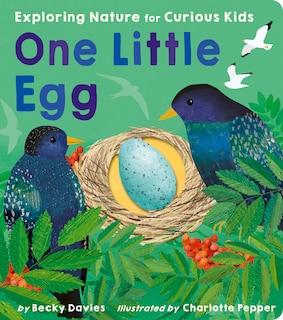 Front cover_One Little Egg