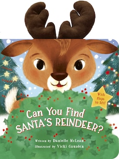 Couverture_Can You Find Santa's Reindeer?