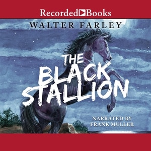 Front cover_The Black Stallion