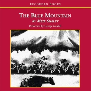 The Blue Mountain