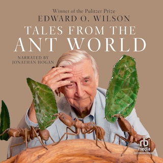 Couverture_Tales from the Ant World