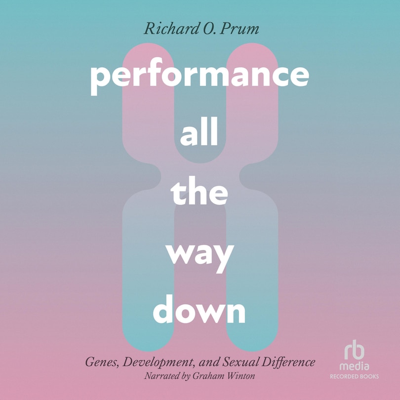 Front cover_Performance All the Way Down