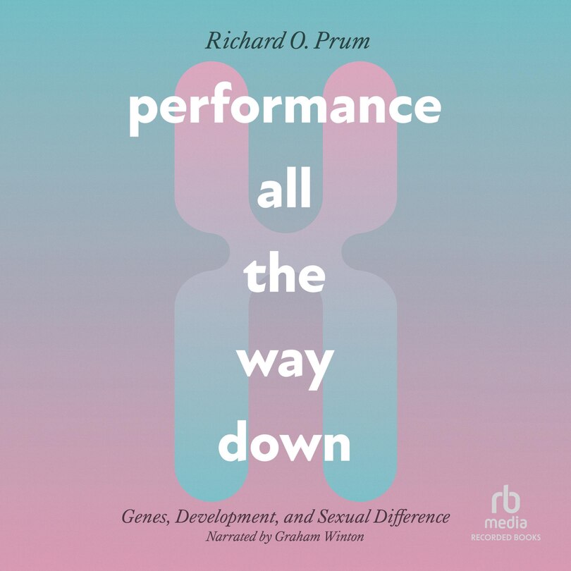 Front cover_Performance All the Way Down