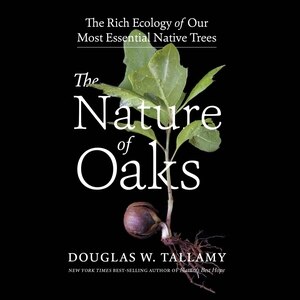 Front cover_The Nature of Oaks