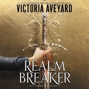 Couverture_Realm Breaker