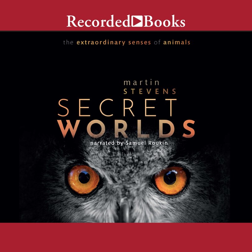 Couverture_Secret Worlds