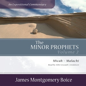 Front cover_The Minor Prophets: An Expositional Commentary, Volume 2
