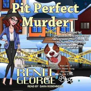 Couverture_Pit Perfect Murder