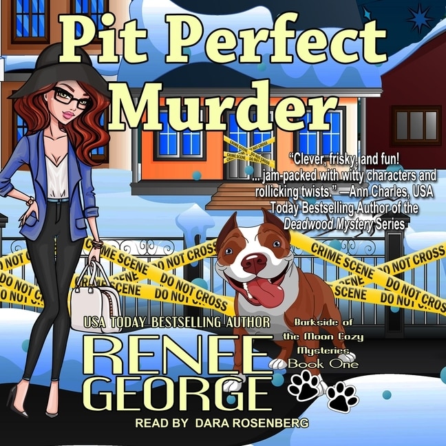 Couverture_Pit Perfect Murder