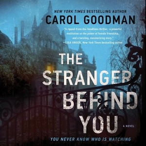 The Stranger Behind You: A Novel