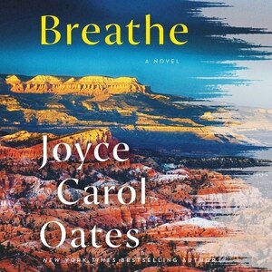 Breathe: A Novel