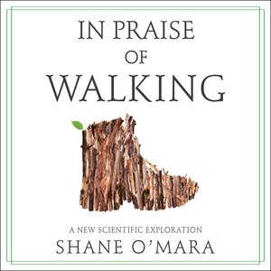 Front cover_In Praise of Walking