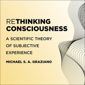 Rethinking Consciousness: A Scientific Theory of Subjective Experience