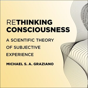 Rethinking Consciousness: A Scientific Theory of Subjective Experience