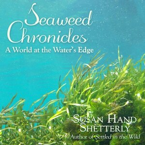 Front cover_Seaweed Chronicles