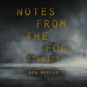 Notes from the Fog: Stories