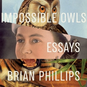 Front cover_Impossible Owls
