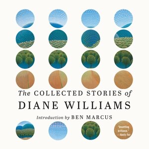Front cover_The Collected Stories of Diane Williams
