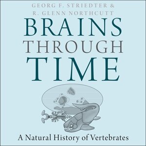 Front cover_Brains Through Time