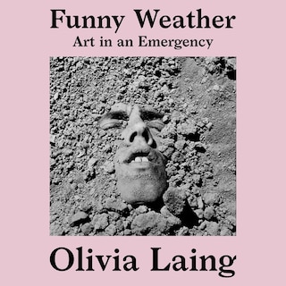 Couverture_Funny Weather