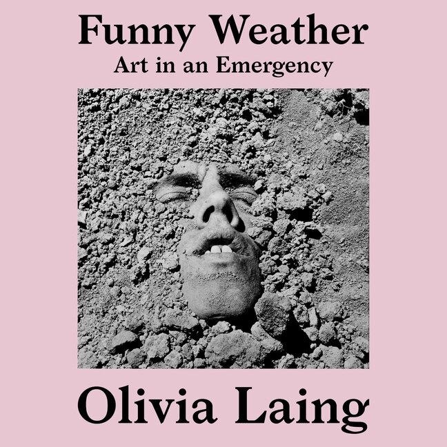 Couverture_Funny Weather