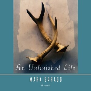 an unfinished life book