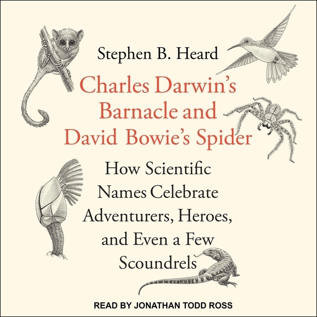 Couverture_Charles Darwin's Barnacle and David Bowie's Spider