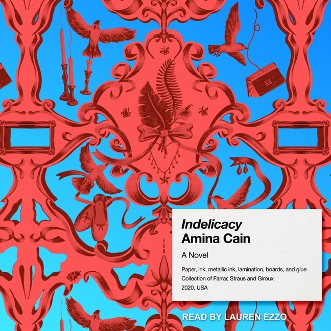 Front cover_Indelicacy