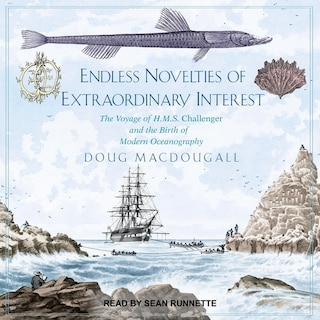 Couverture_Endless Novelties of Extraordinary Interest