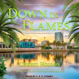 Couverture_Down in Flames
