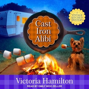 Couverture_Cast Iron Alibi
