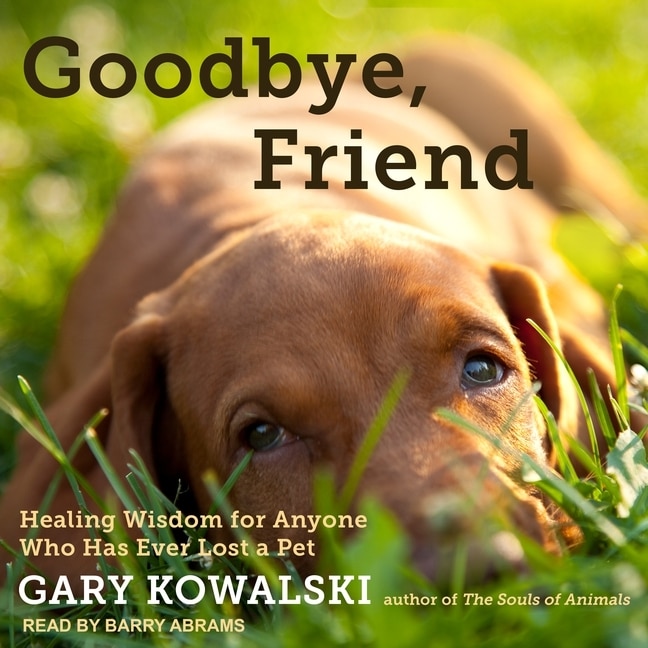 Couverture_Goodbye, Friend Lib/E