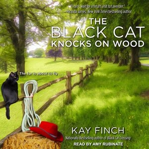 Couverture_The Black Cat Knocks on Wood
