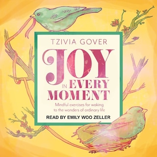 Joy in Every Moment: Mindful Exercises for Waking Up to the Wonders of Ordinary Life