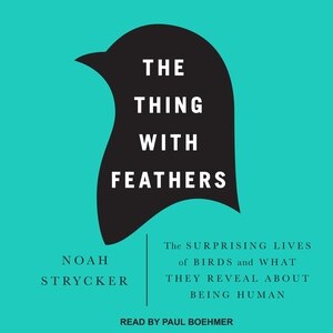 Couverture_The Thing with Feathers