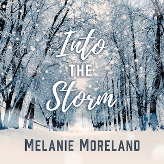 Couverture_Into The Storm