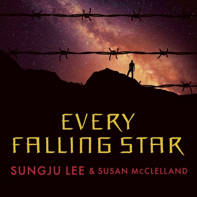 Front cover_Every Falling Star