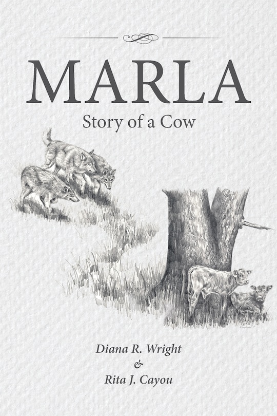 Front cover_Marla
