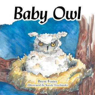 Front cover_Baby Owl