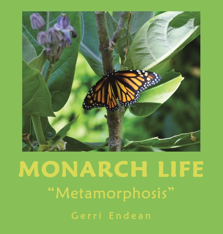Couverture_Monarch Life